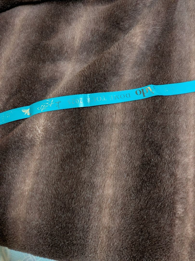 「最安値！」Ado よだかフーディー XLサイズ (オマケ 銀テ)