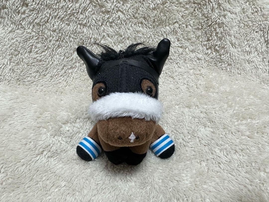 非売品　アーモンドアイ　美浦トレセン　アイドルホース