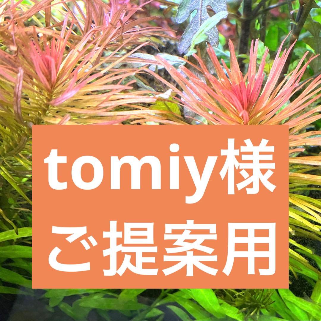 tomiy様 リクエスト 3点 まとめ商品