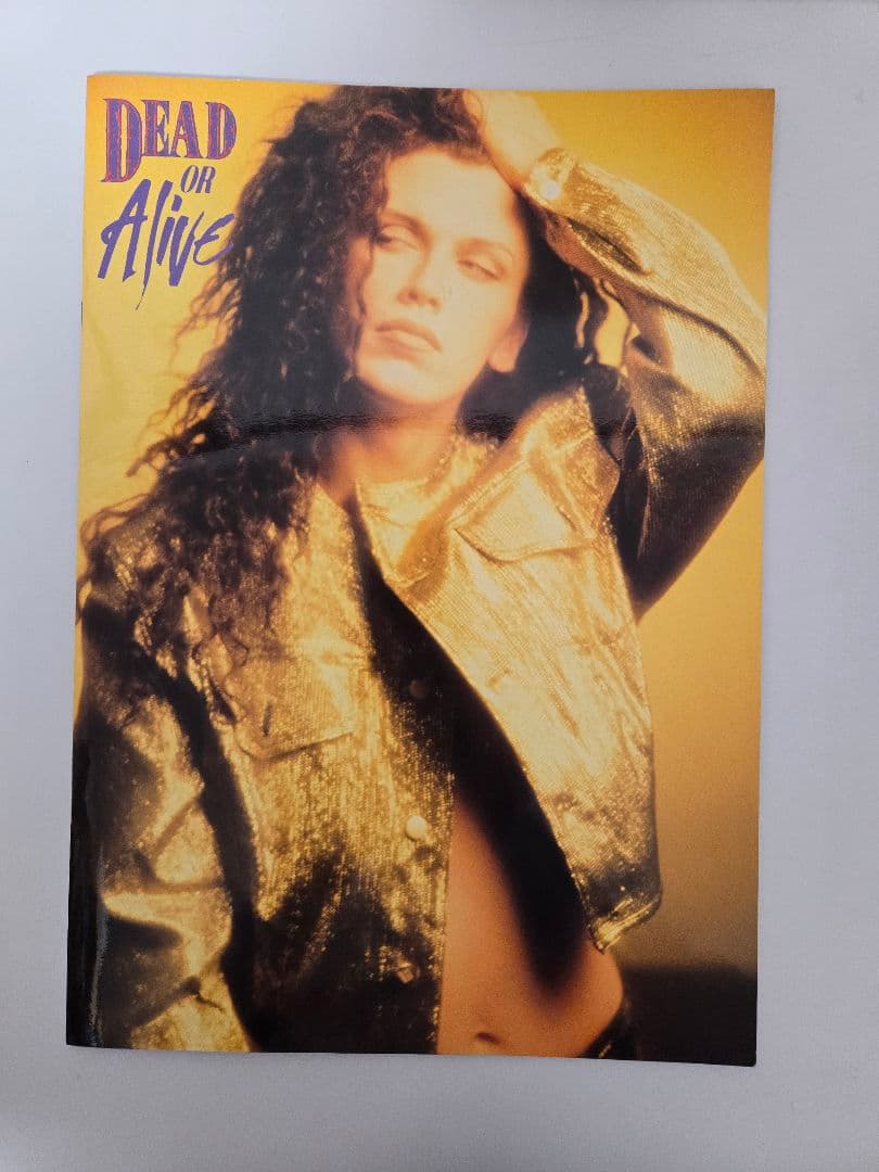 デッドオアアライブ　ツアーパンフ　DEAD OR ALIVE ピート・バーンズ