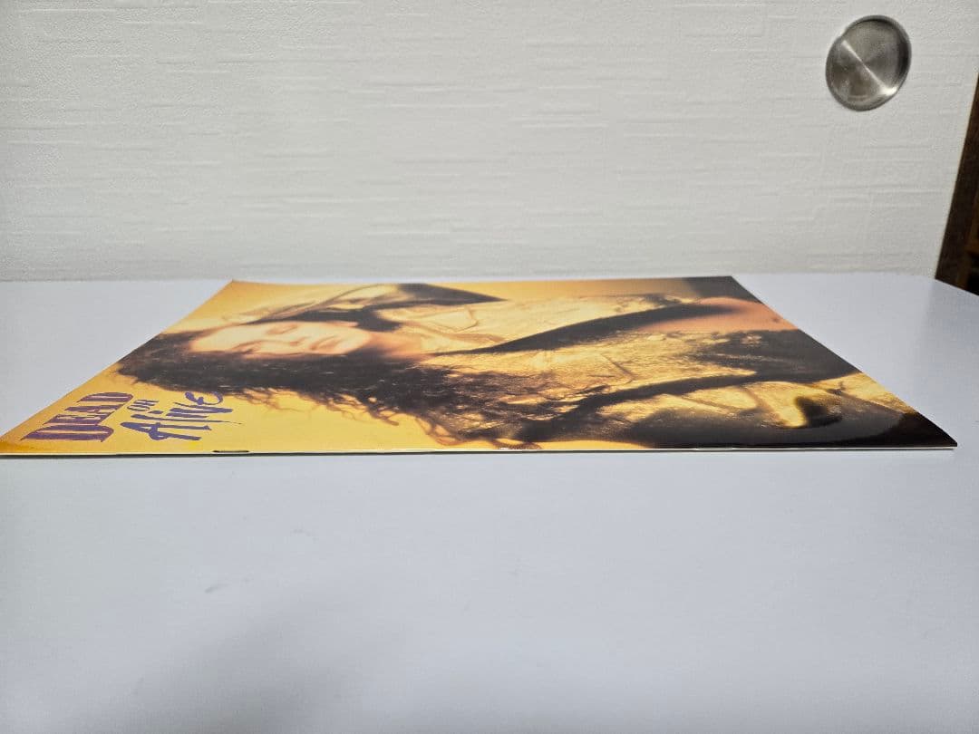 デッドオアアライブ　ツアーパンフ　DEAD OR ALIVE ピート・バーンズ