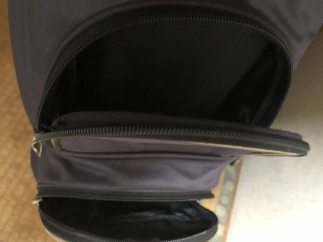 Mizuno RV-09 ゴルフバッグ クラブ＆ドライバー全18本