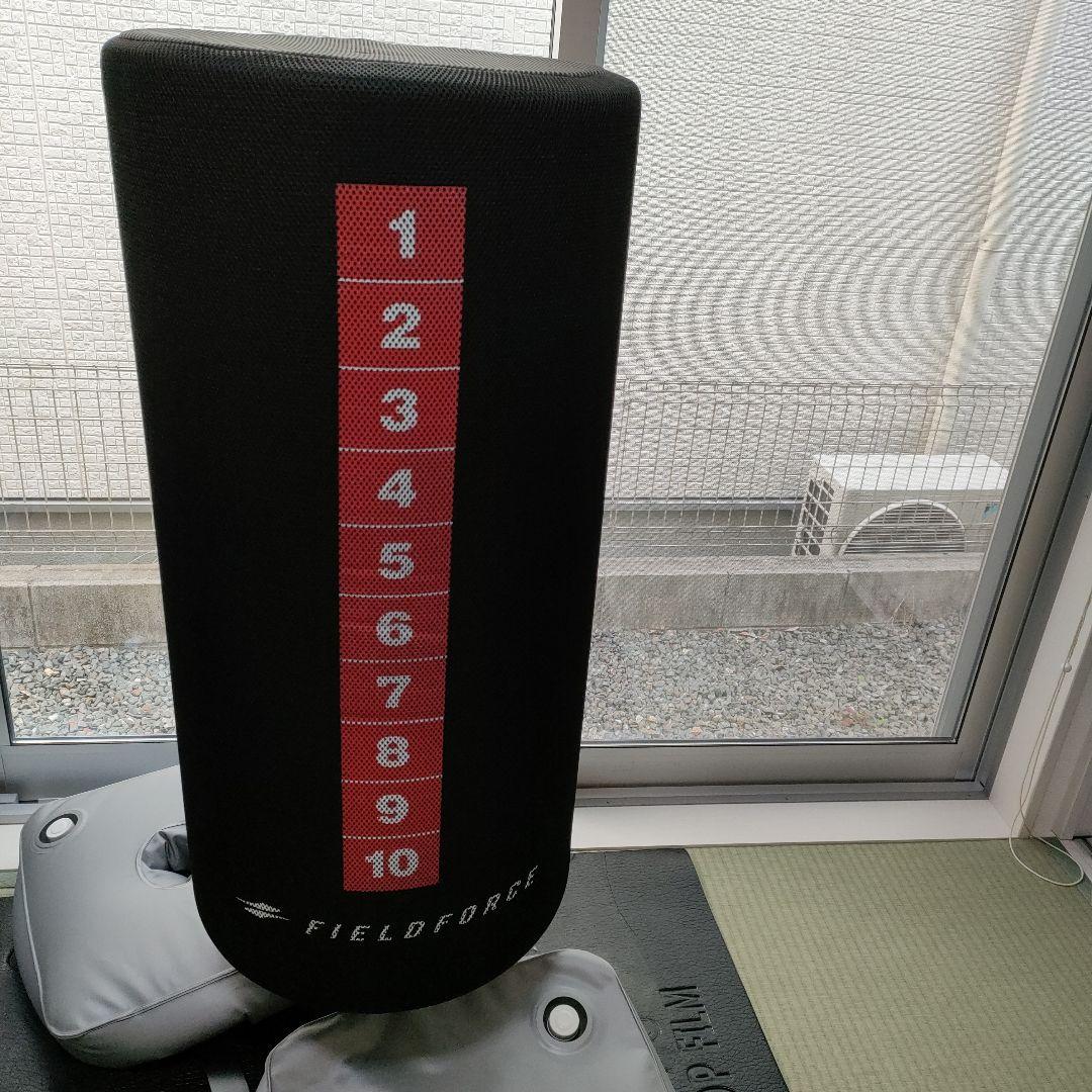 【とらとらさん専用】FIELD FORCE バッティング用　サンドバッグ