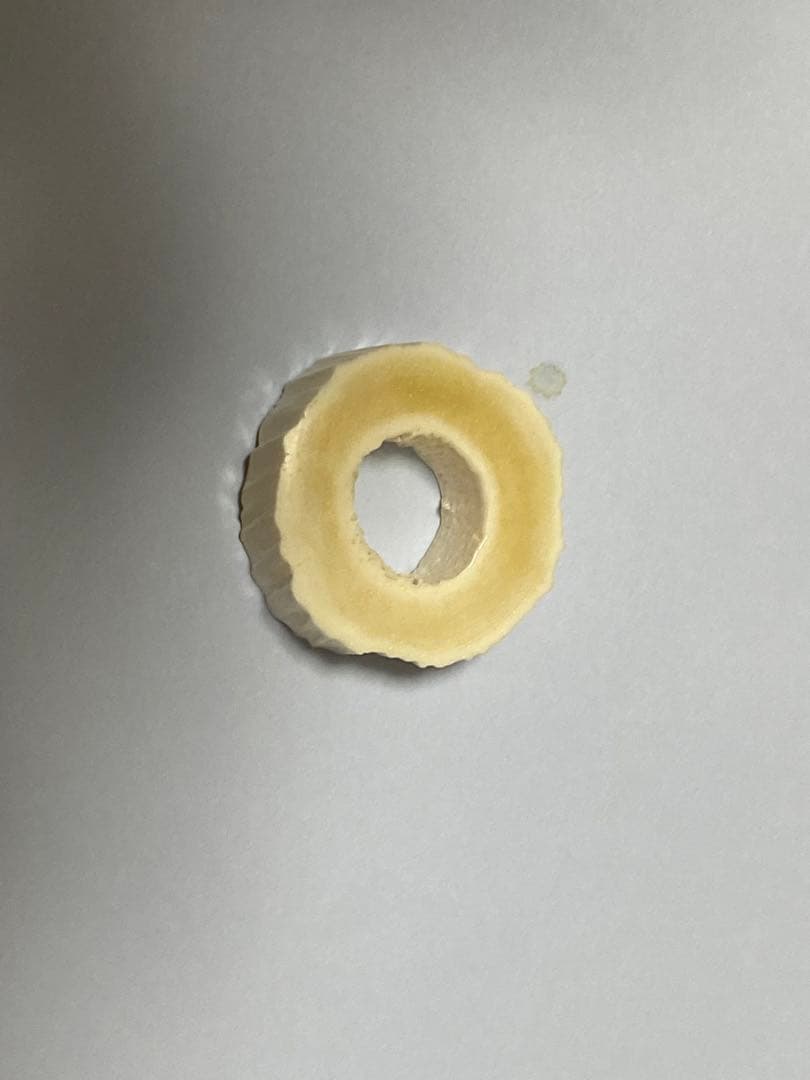 ウニコール　一角　鯨牙　鯨歯　新品　送料無料