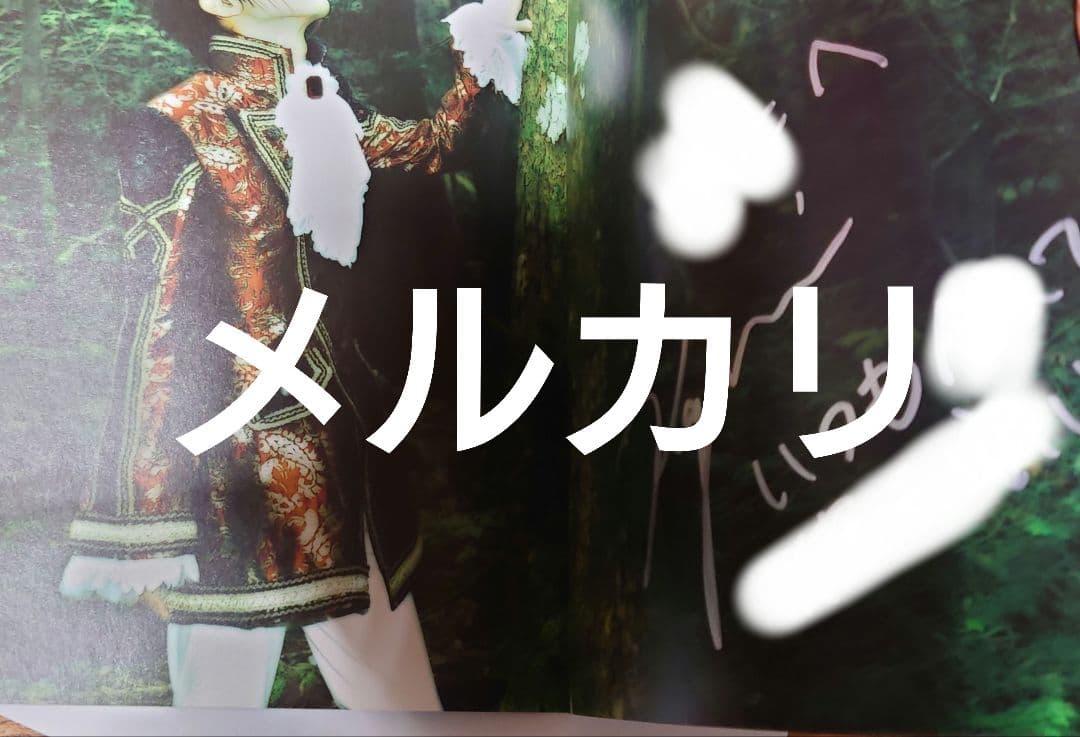 LAREINE パンフレット コメントサイン入り KAMIJO