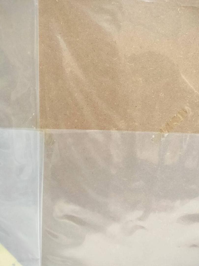 ◆アイルトンセナ F1 モナコGP オフィシャルポスター　1991年