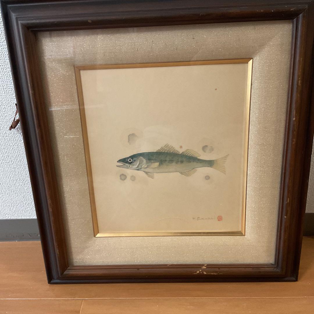 水彩画 肉筆画 【 魚 図 】 作者 落款印譜在 sakurai