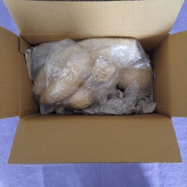 YAMAKAWA造型部 モスラ対ゴジラ