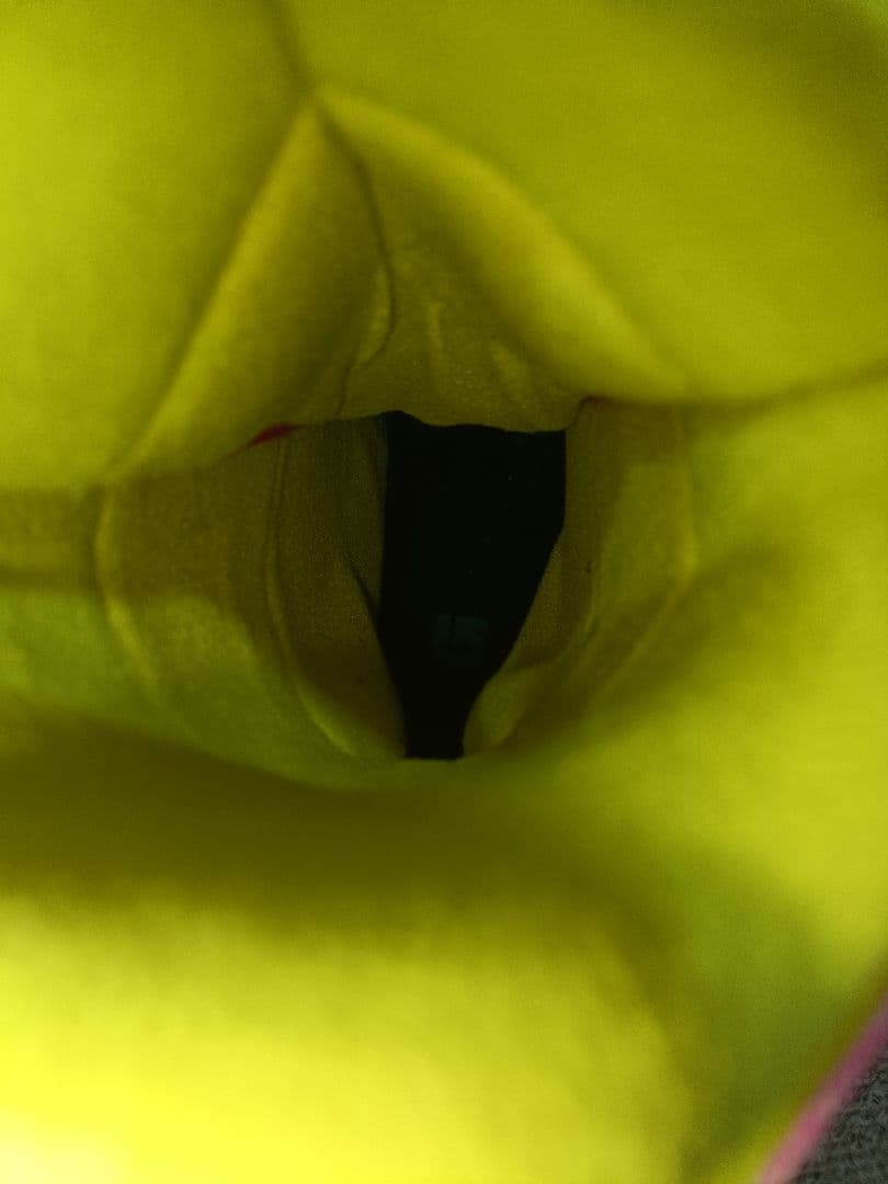 BURTON■22cm■ZIPLINE BOA バートン