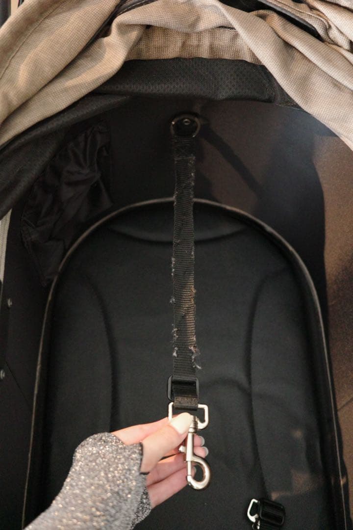 AIRBUGGY ペットカートドーム3レギュラーサイズ