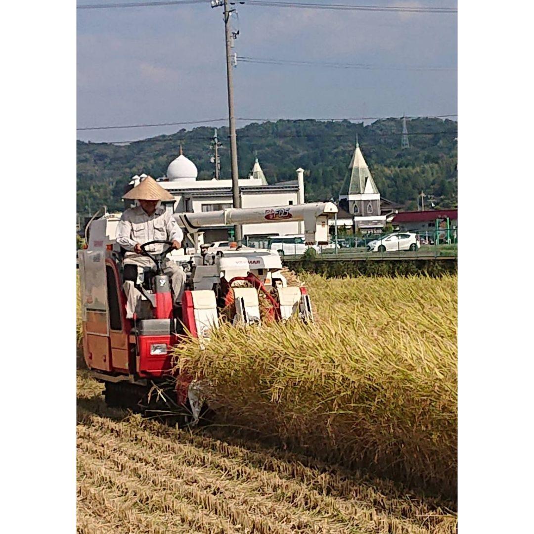 R7年富山県産コシヒカリ玄米5kg×6袋✳️関東、東海、信越、関西地域限定