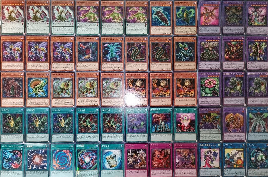 遊戯王デッキ　捕食植物デッキ　ガチ構築