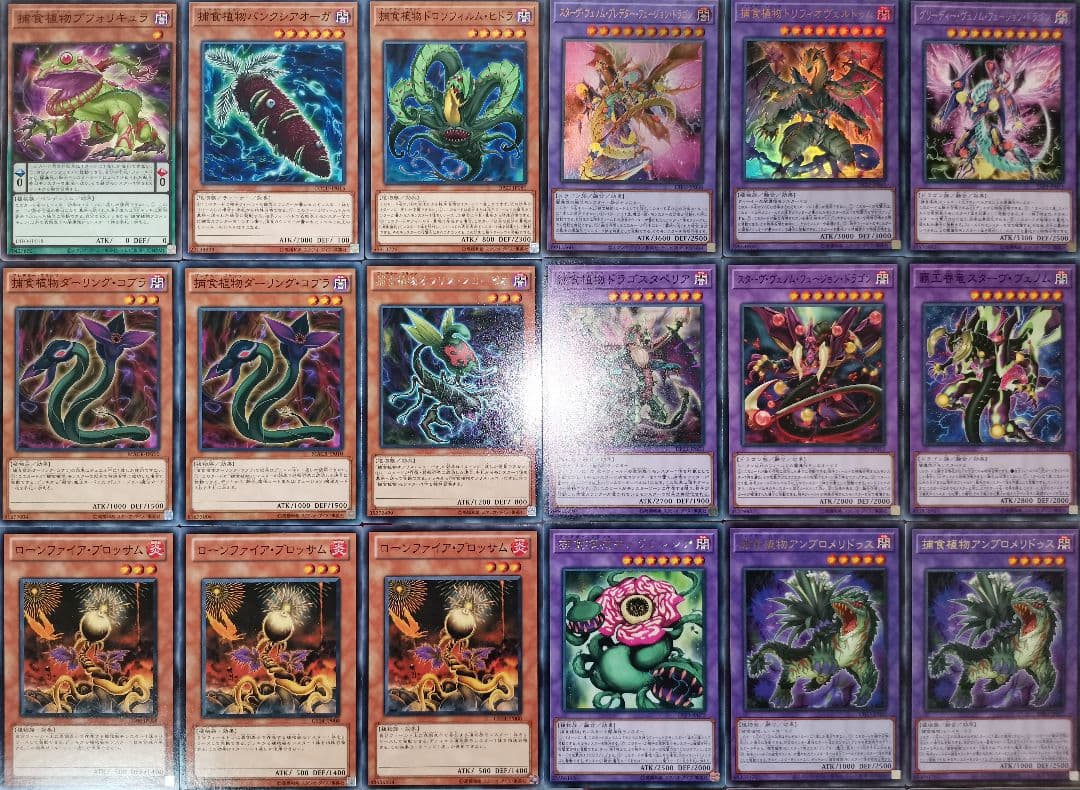 遊戯王デッキ　捕食植物デッキ　ガチ構築
