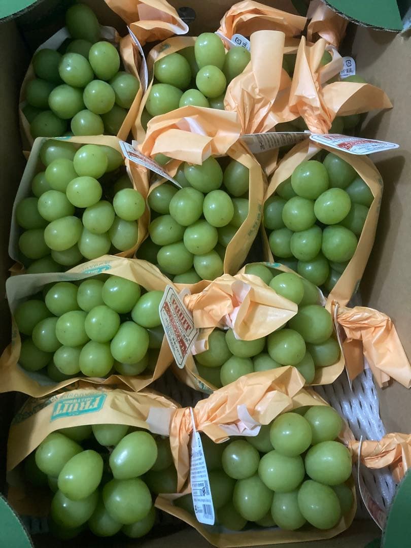 長野県産　シャインマスカット　約5kg