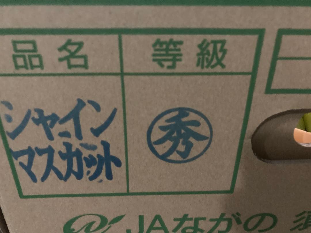 長野県産　シャインマスカット　約5kg