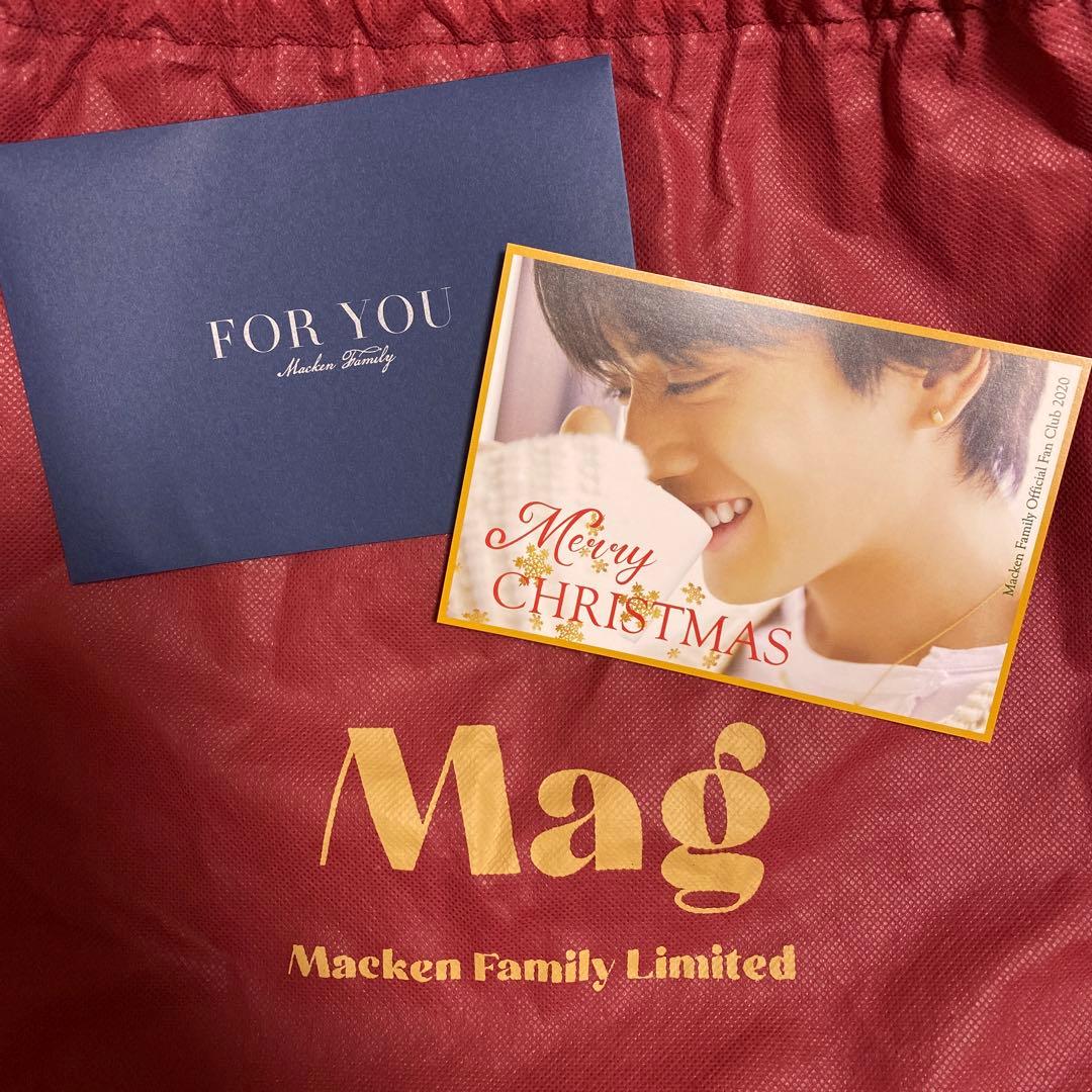 【新品•美品】新田真剣佑 MAGぬいぐるみ