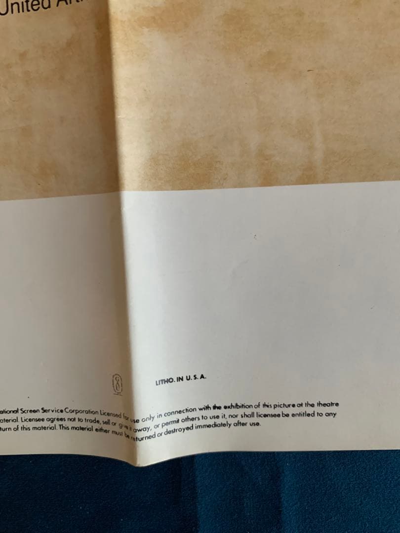 ワイルドブラックTHE BLACK STALLION USオリジナル映画ポスター