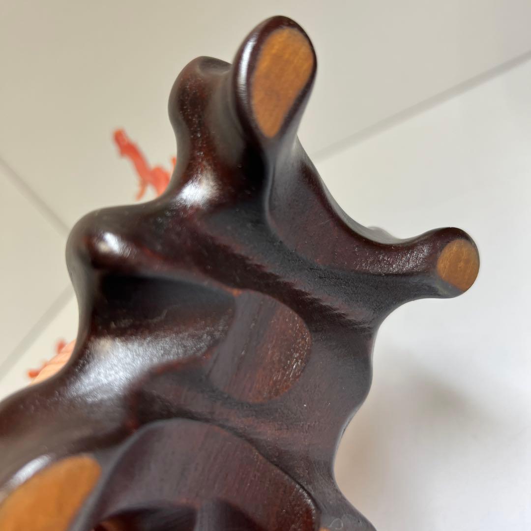 本肉赤珊瑚　ケース付　台込221g 東Y8-0130②トヒトオ