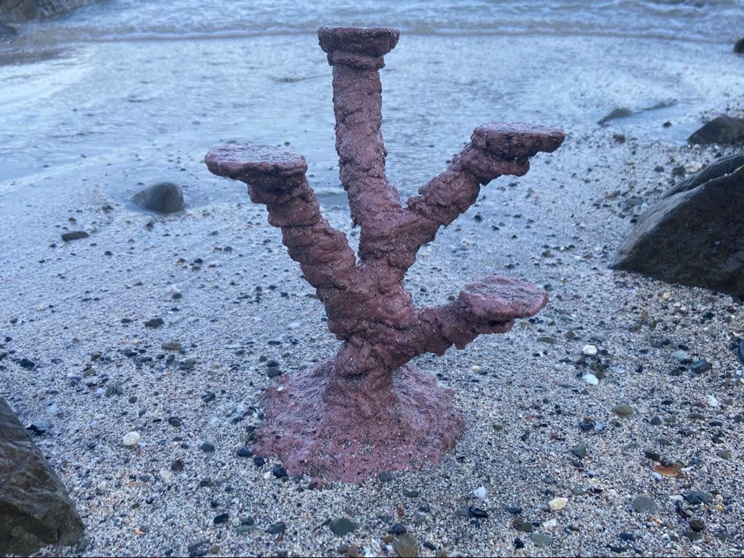 水槽用コーラル模型 ピンク 紫　中型