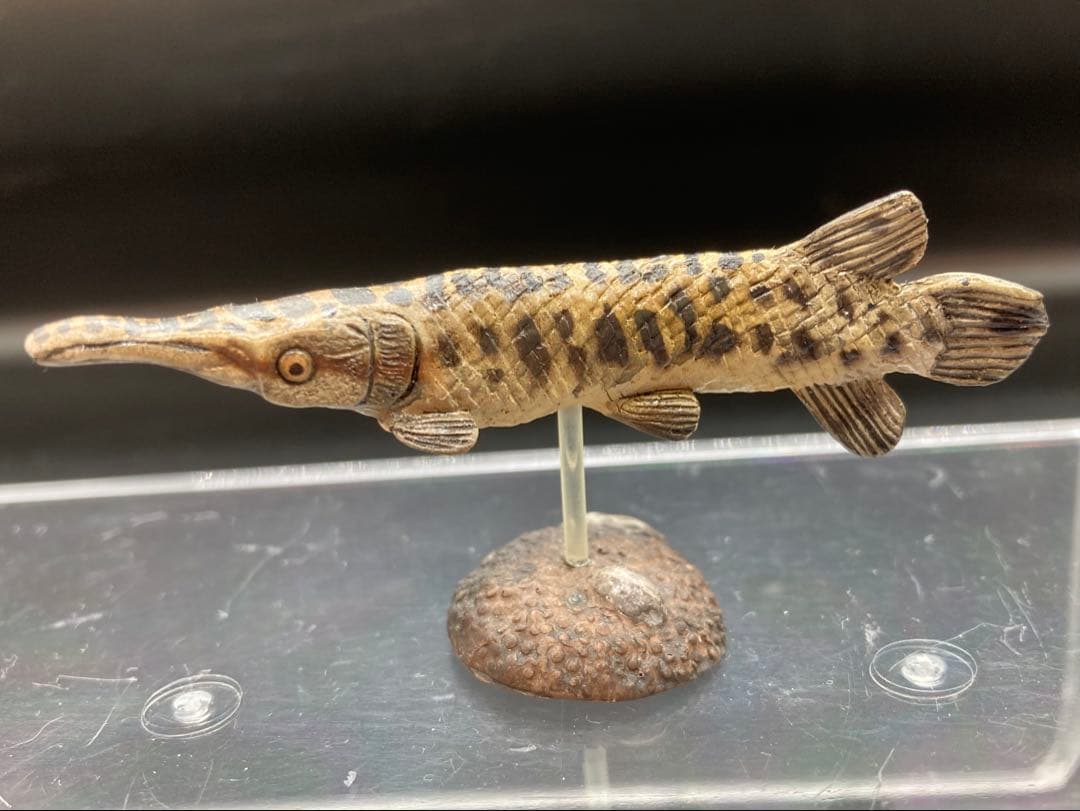 動物 生き物フィギュア ガレージキット 塗装済み完成品 19体セット