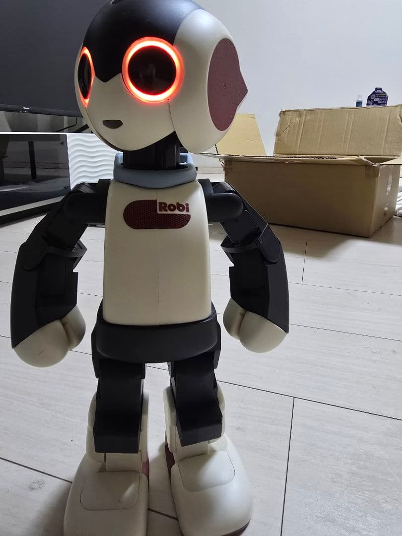 ディアゴスティーニ Robi ロビ フルセット