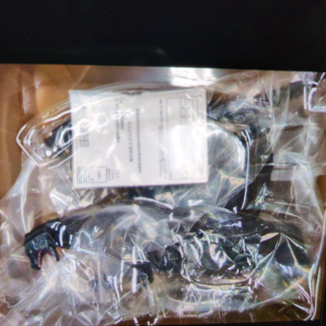 エクスプラス。ゴジラ1991.網走激闘。