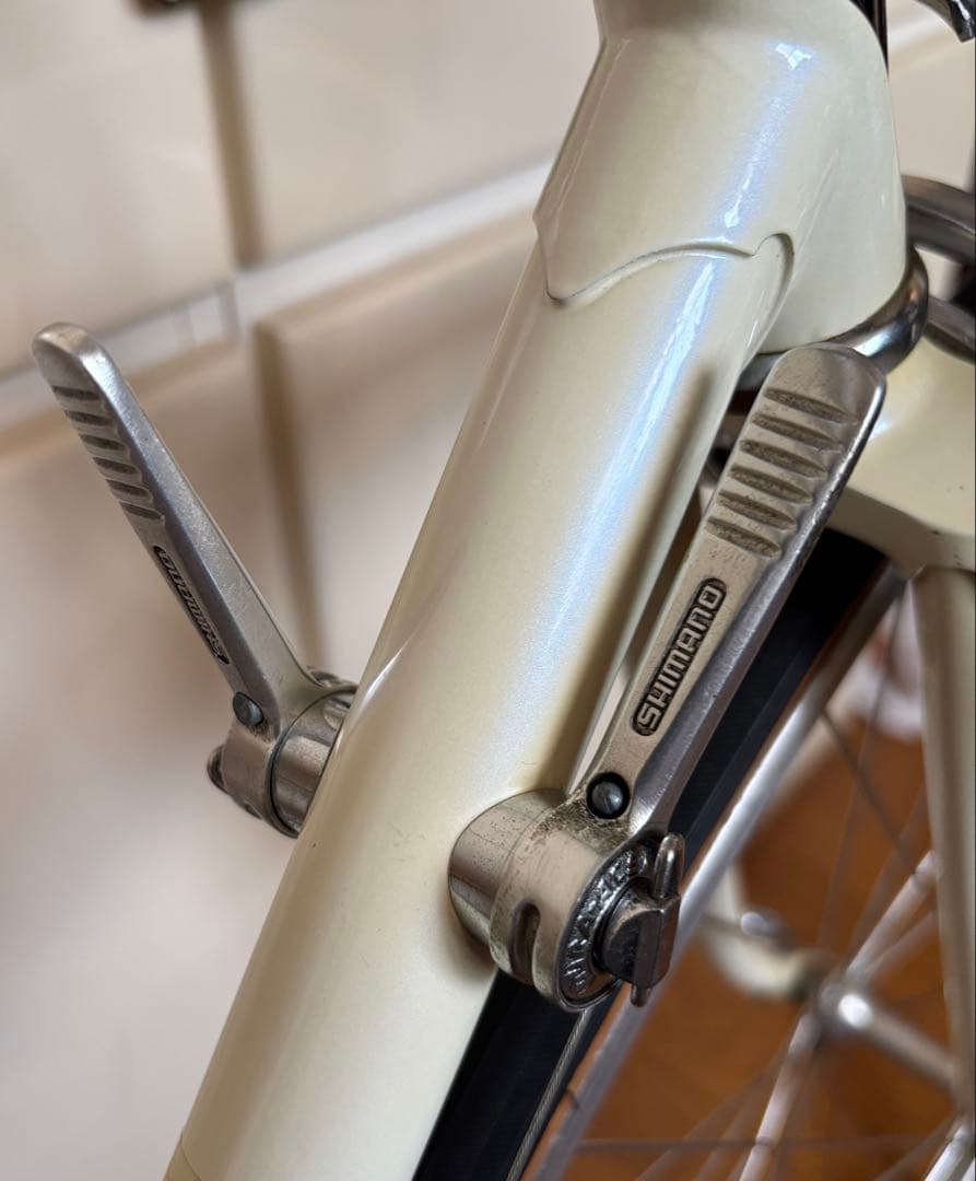 画像更新‼️ナショナルラスコルサ⭐️700CW/Oとチューブラーのセットで❗️