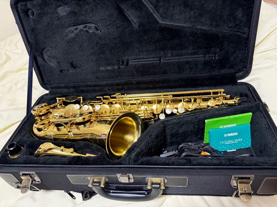 管楽器・吹奏楽器 YANAGISAWA a-wo1