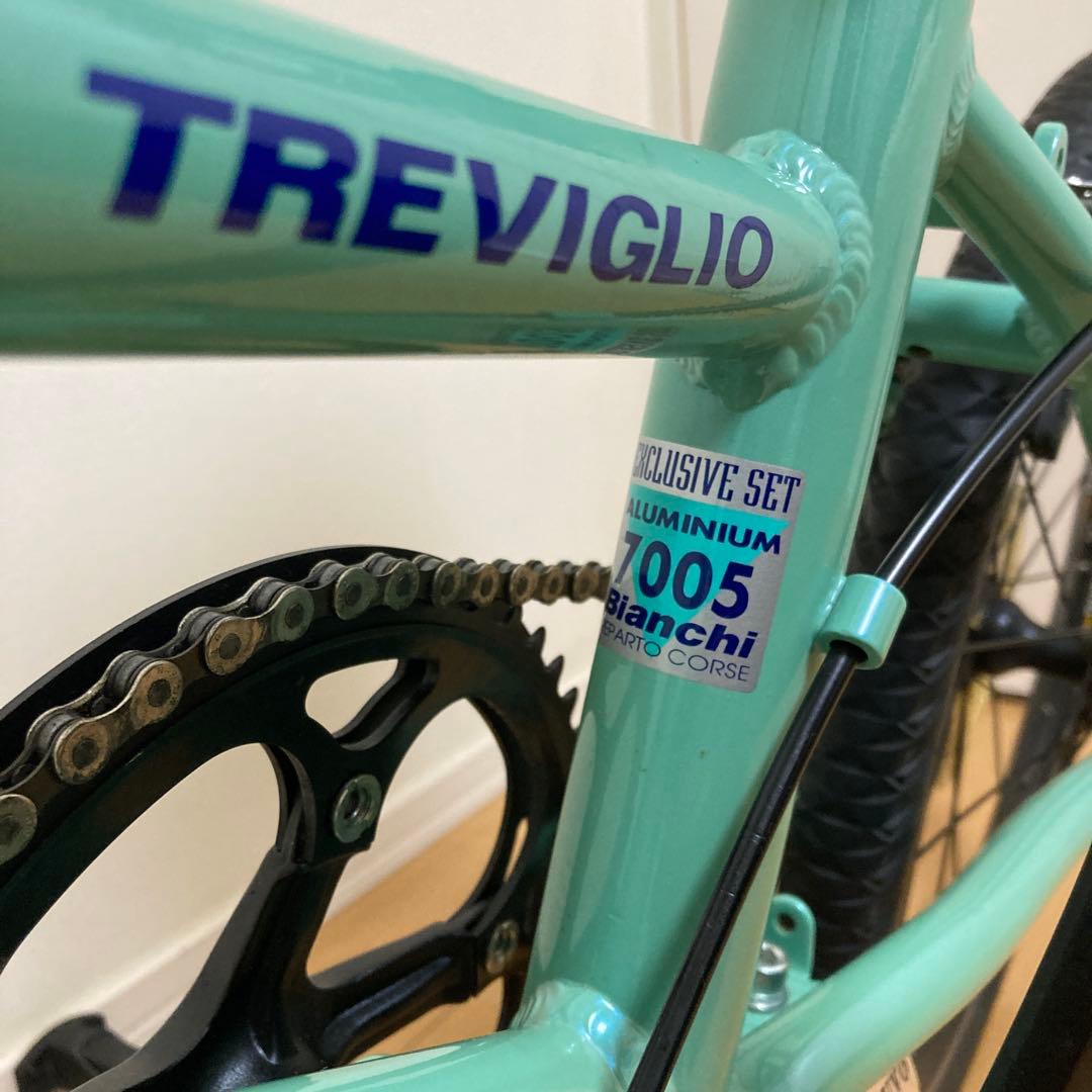 Bianchi trevigrio ビアンキ　トレビリオ
