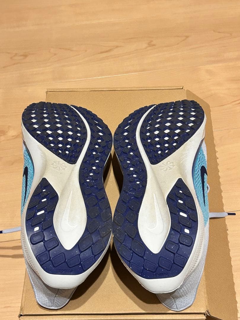 Nike ランニングシューズペガサス41