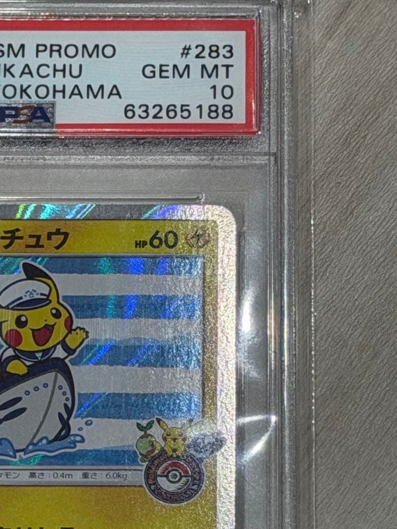 ヨコハマのピカチュウ：スペシャルBOX ポケモンセンターヨコハマ PR