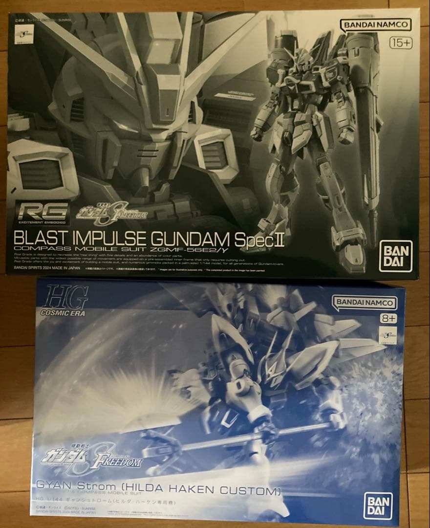 HG ギャンシュトロームヒルダ機 & RG ブラストインパルスガンダムSPECⅡ