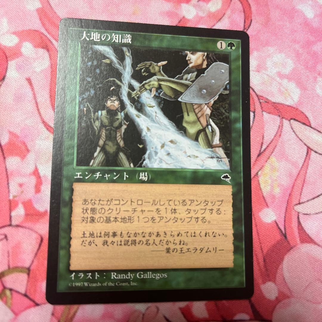 MTG大地の知識