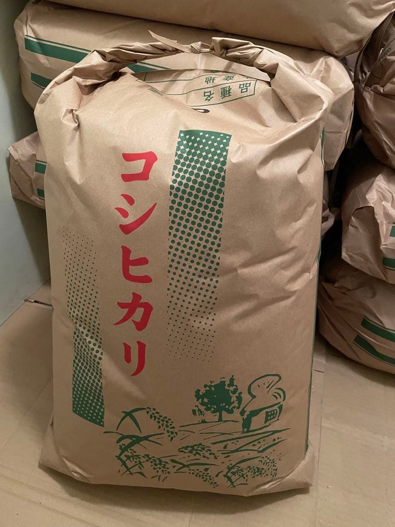 農家直送　令和7年千葉県産コシヒカリ 玄米30kg
