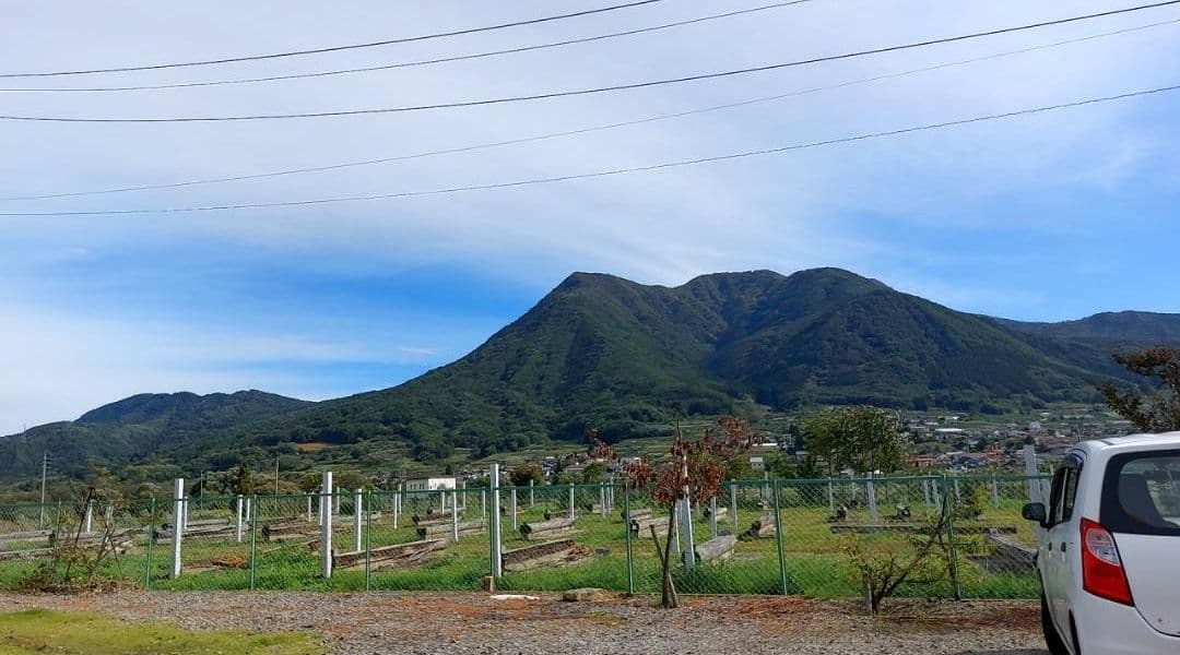 キナコ 白米 20キロ