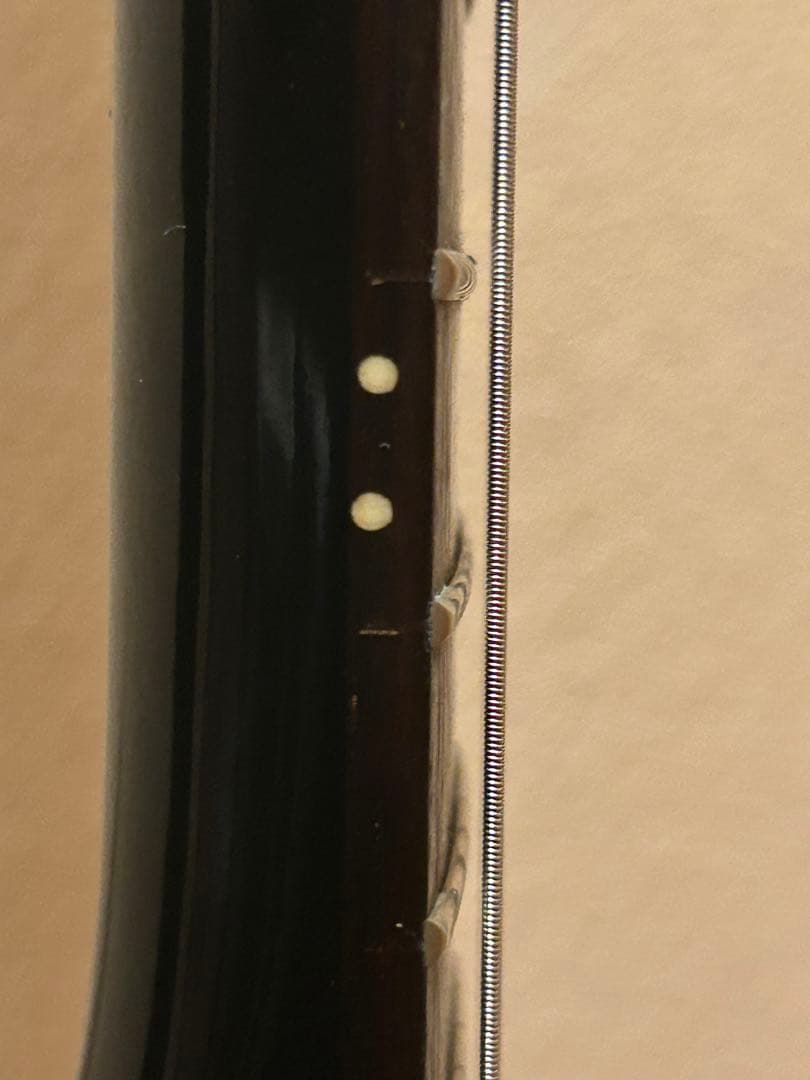 さらに値下げ！GrassRoots　グラスルーツ　イノランモデル　GI-48LP