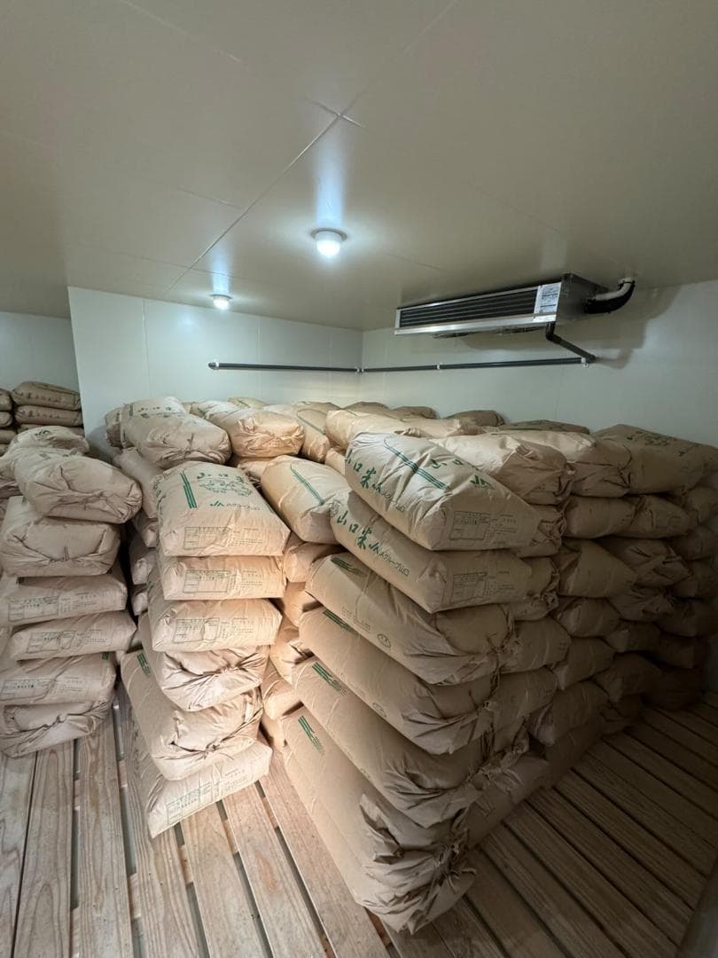 令和7年度産　山口県産（新米）10kg恋の予感　白米/玄米　農家直送　送料無料