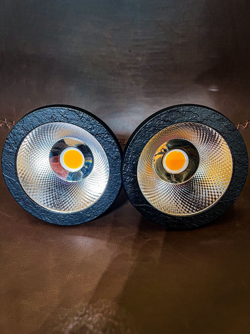 植物育成ライト　BARREL TSUKUYOMI LED 20W2個セット