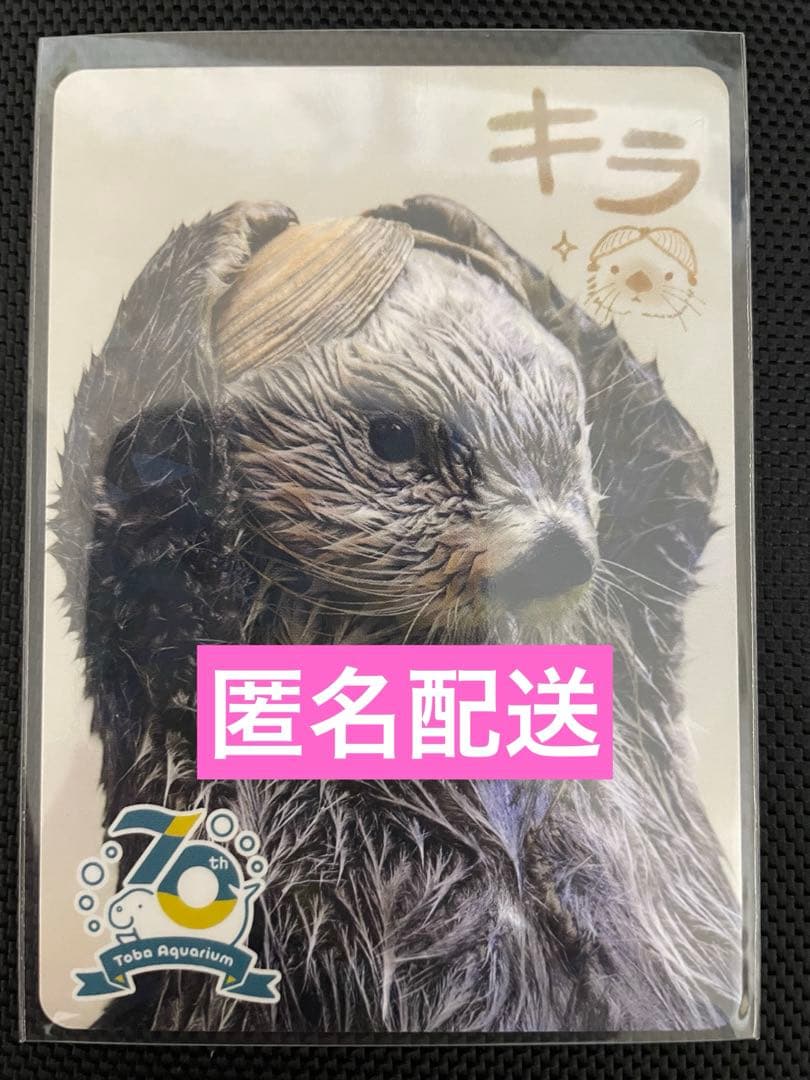 鳥羽水族館 コレクションカード ラッコ キラ