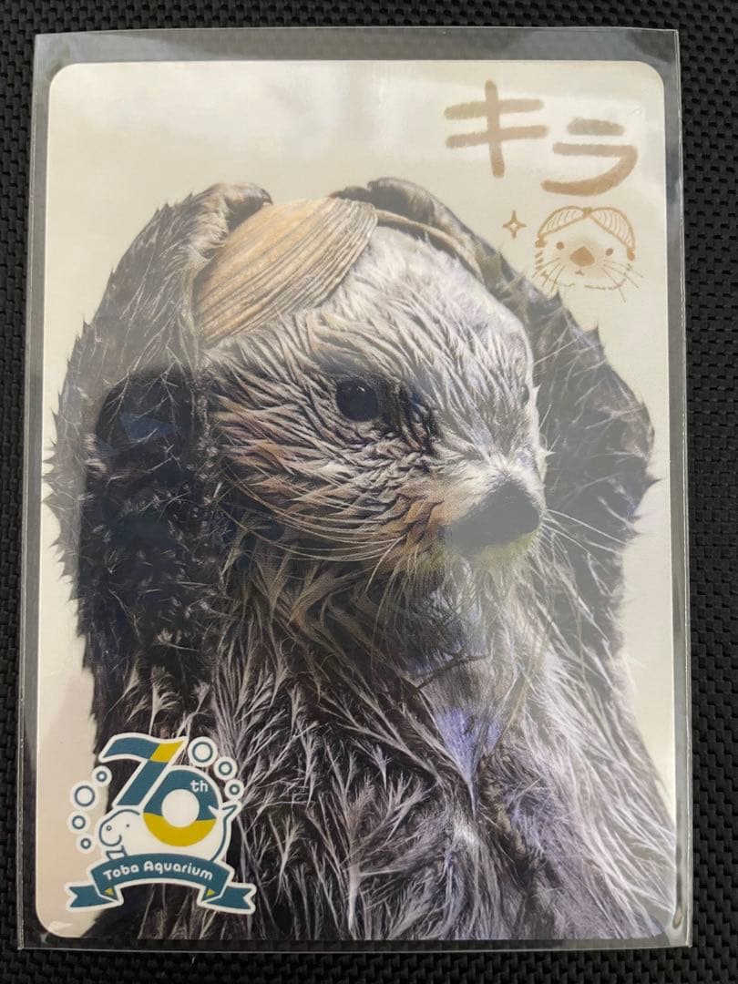 鳥羽水族館 コレクションカード ラッコ キラ