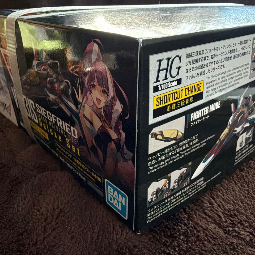 マクロス　HG VF-31S ジークフリード （アラド・メルダース機）ＤＸセット