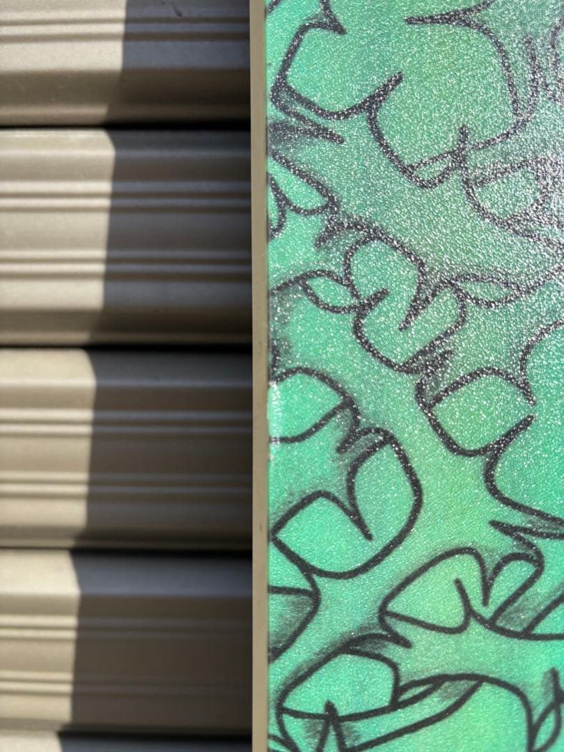 PRANAPUNKS プラナパンクス EASY RAIDER SPECIAL