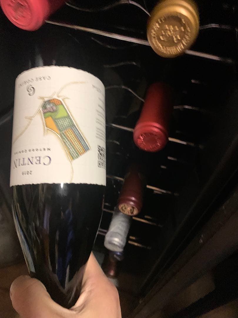 カーゼ　コリーニ チェンティン 2019