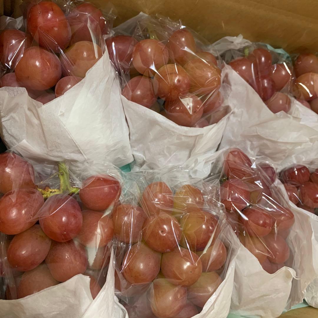 信州　クイーンルージュ®︎（4キロ）