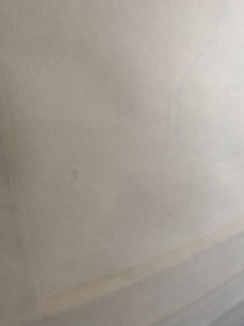 掛軸 長谷川石根作 親を待つ子雀　共箱付