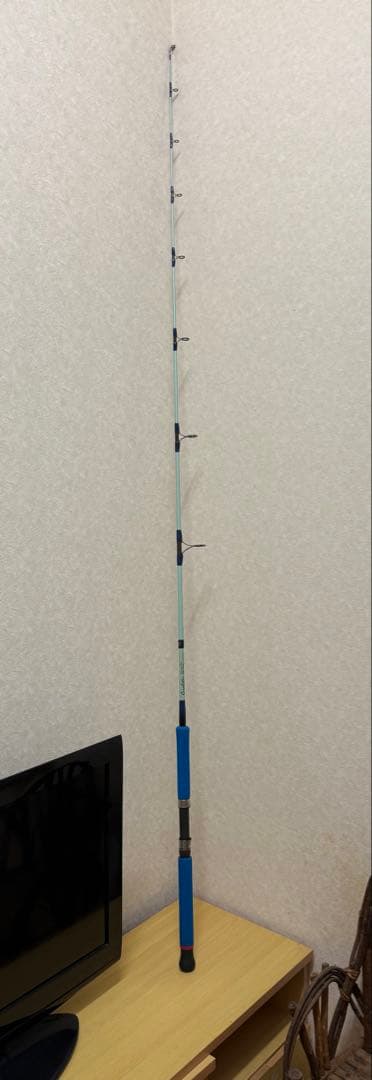 【2/22誕生日セール】PALMS CORAL STAR CGP-7016i