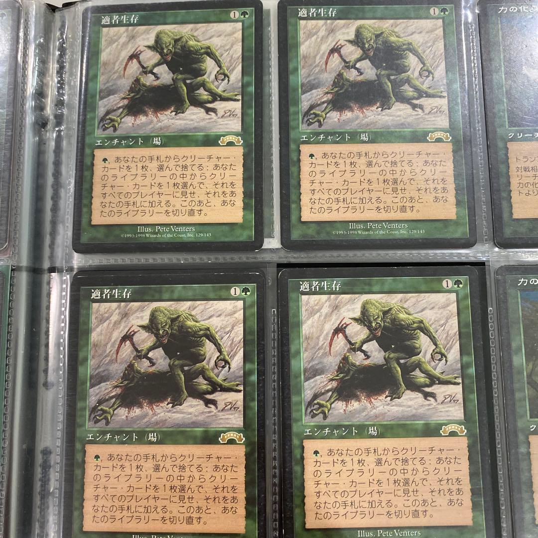 適者生存 エンチャントカード