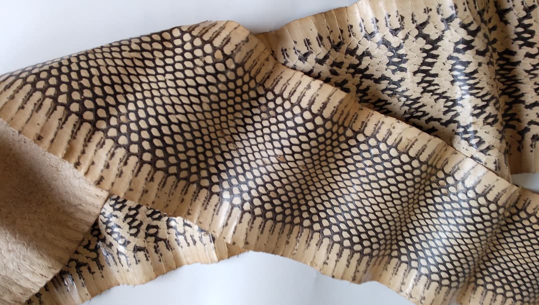 財を築き幸運を呼ぶ 蛇皮 財ヘビ 革 原皮 天然皮革 金運 招福 厄除け 風水