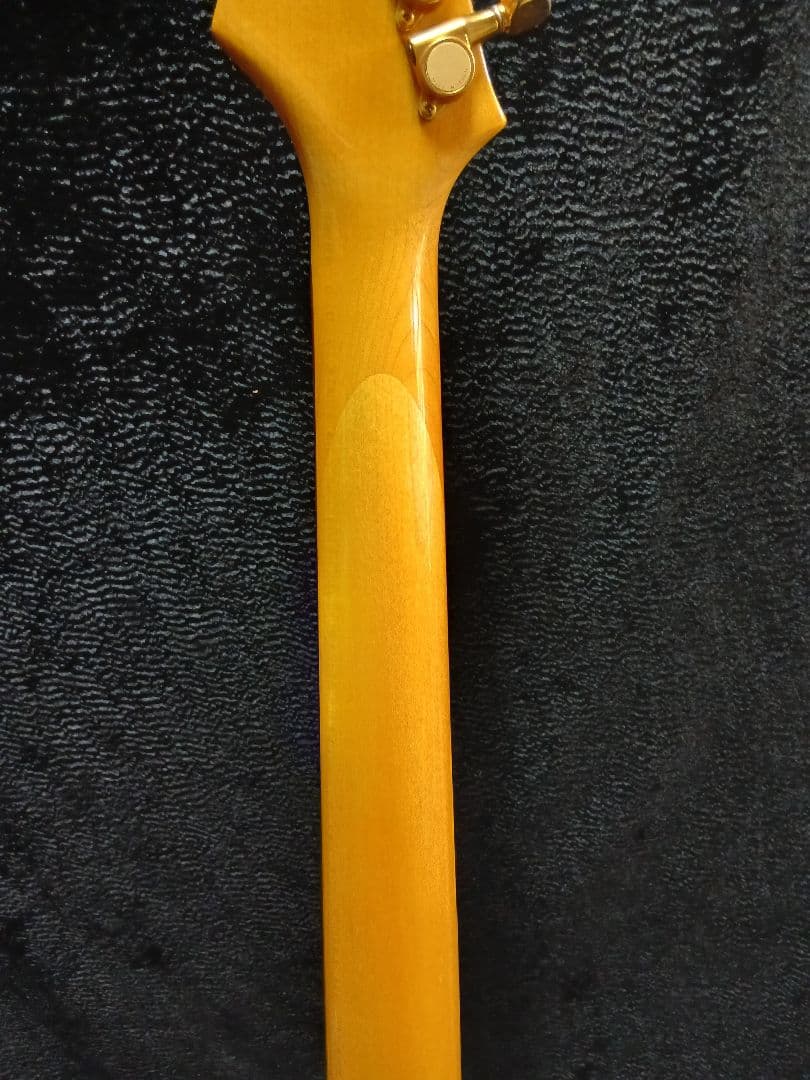 AriaproIIMAGNA Shires 中古ソフトケースシールドストラップ付