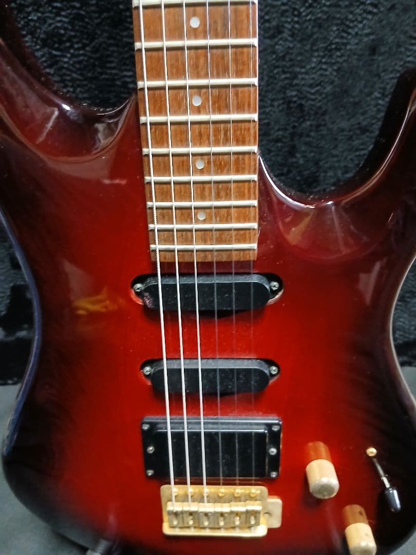 AriaproIIMAGNA Shires 中古ソフトケースシールドストラップ付